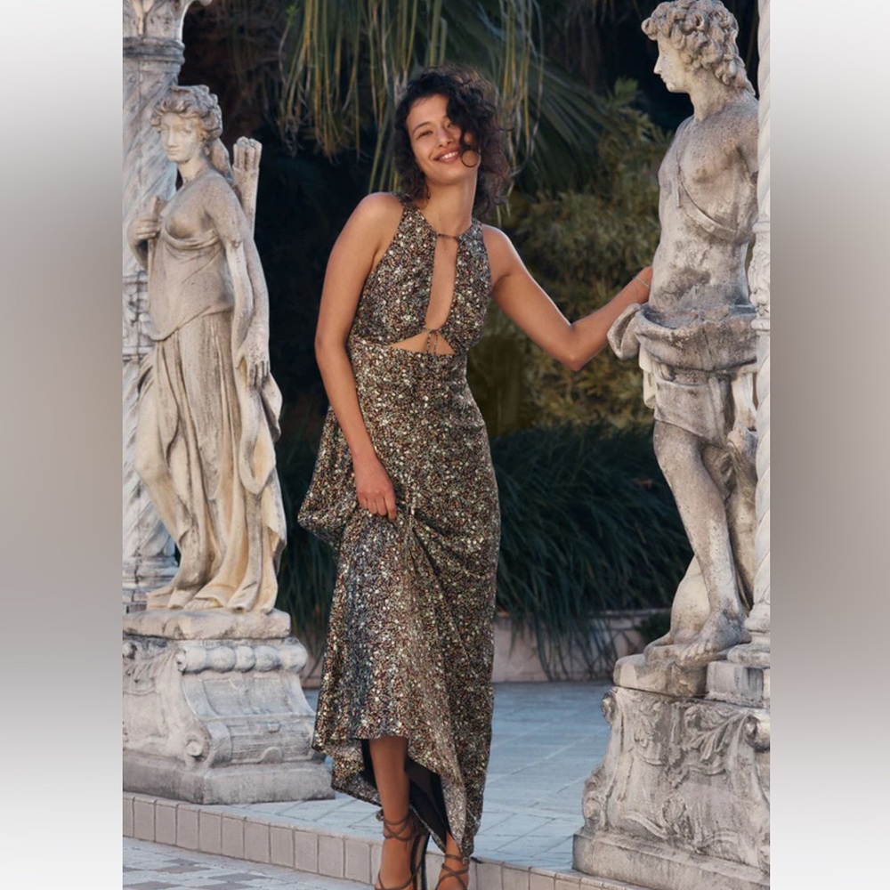 EUC - Shona Joy Avriel Cut Out Front Maxi Dress